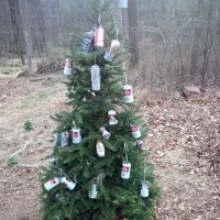 Cushon's Peak Campground ico