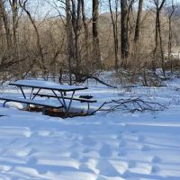 Vinegar Ridge Recreation Area ico