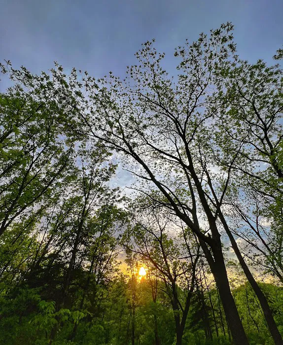 Vinegar Ridge Recreation Area Picture 5