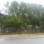 Highway 250 Campground