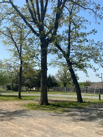 Lakewood RV & Lodge Picture 1