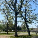 Lakewood RV & Lodge