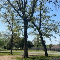 Lakewood RV & Lodge ico