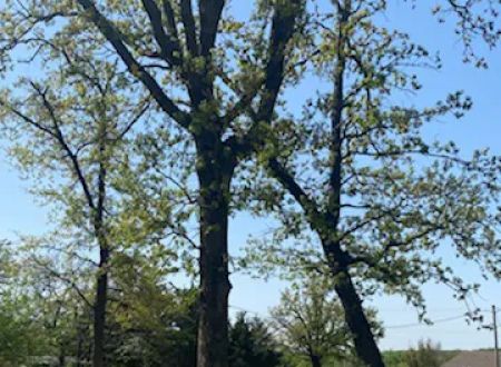 Lakewood RV & Lodge