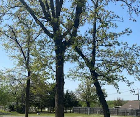 Lakewood RV & Lodge