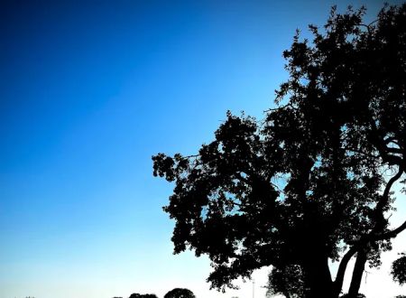 LakeTexoma HillTop RV Resort