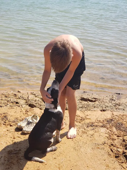 LakeTexoma HillTop RV Resort Picture 9