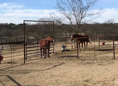 Rocker B Ranch