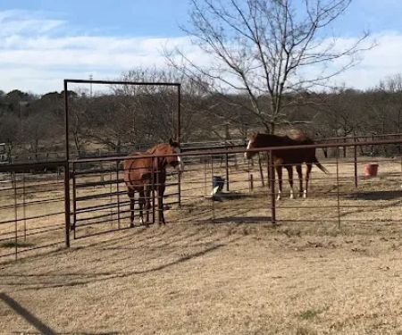 Rocker B Ranch