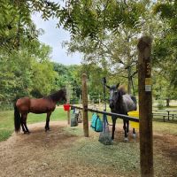 Forestville State Park Equestrian Campground ico