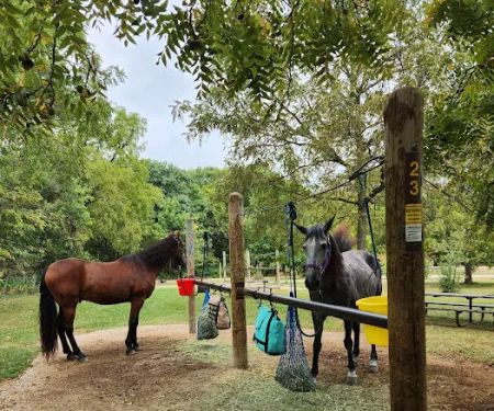 Forestville State Park Equestrian Campground