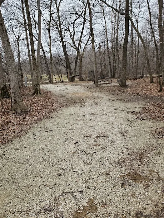 Forestville State Park Equestrian Campground Picture 4