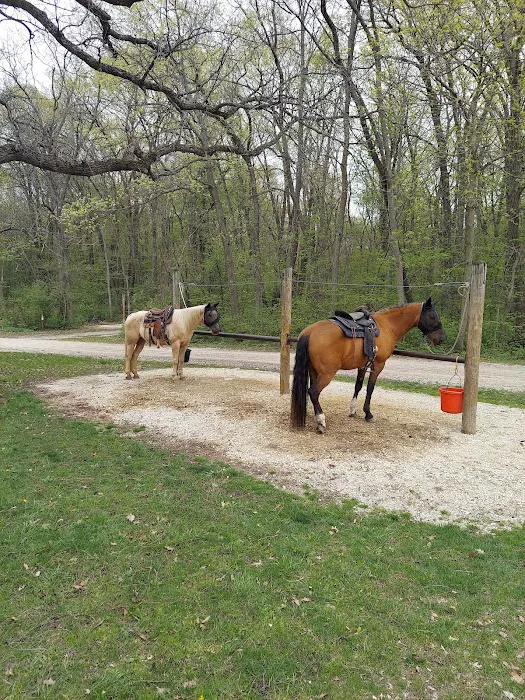 Forestville State Park Equestrian Campground Picture 10