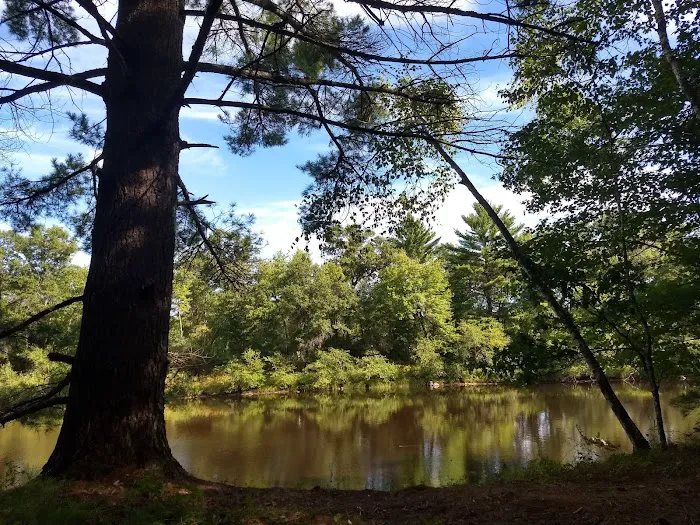 East Fork campground Picture 2