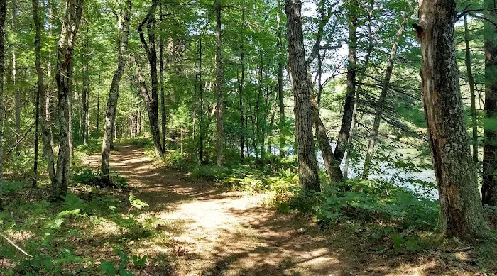 East Fork campground Picture 4