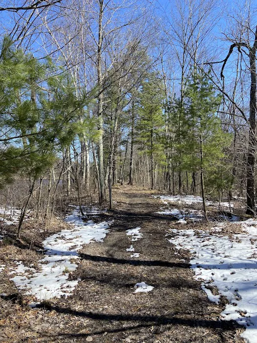 East Fork campground Picture 5