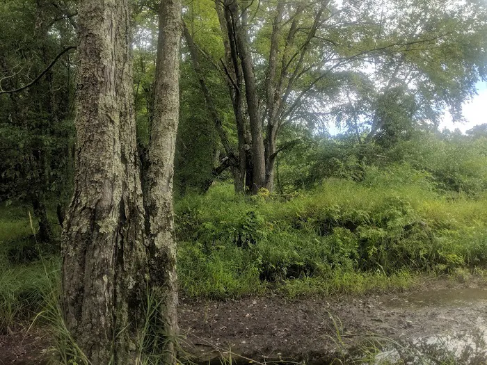 East Fork campground Picture 9