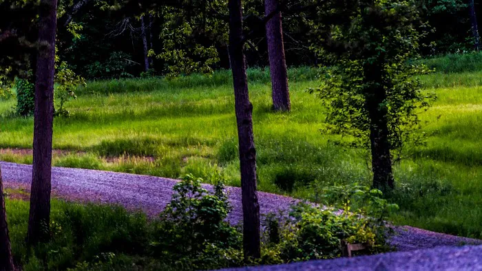 Forest Lake RV Park and Events, LLC Picture 5