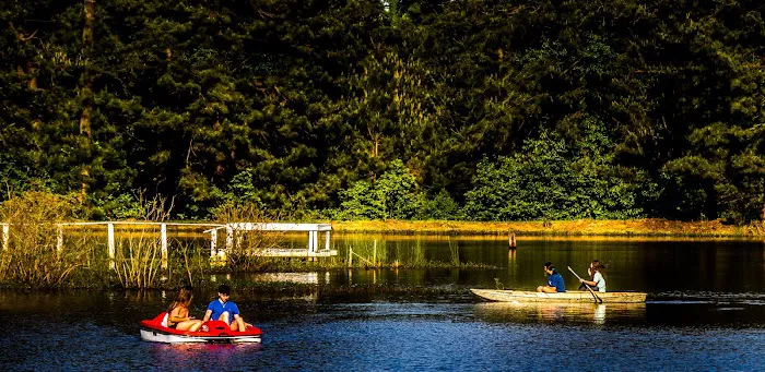 Forest Lake RV Park and Events, LLC Picture 8