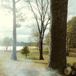 Shady Pines RV Park