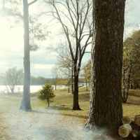 Shady Pines RV Park ico