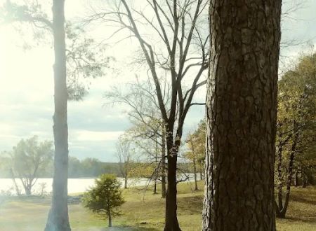 Shady Pines RV Park
