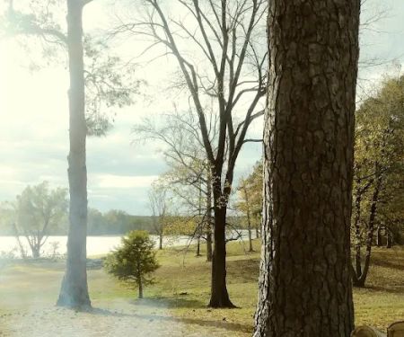 Shady Pines RV Park