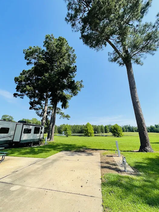 Shady Pines RV Park Picture 6