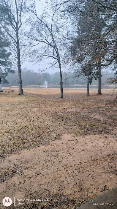 Shady Pines RV Park Picture 7