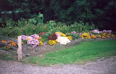 Hixton / Alma Center KOA Holiday Picture 2