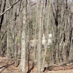 Wildcat Mound Park