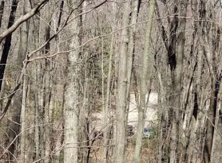 Wildcat Mound Park