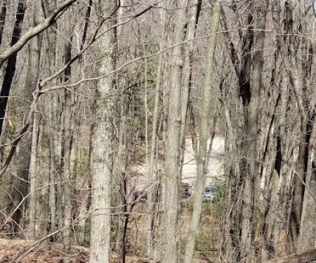 Wildcat Mound Park