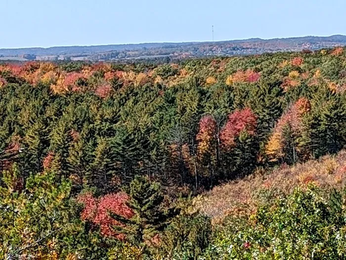 Wildcat Mound Park Picture 4
