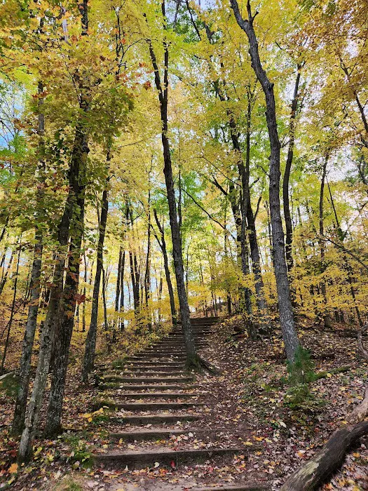 Wildcat Mound Park Picture 6