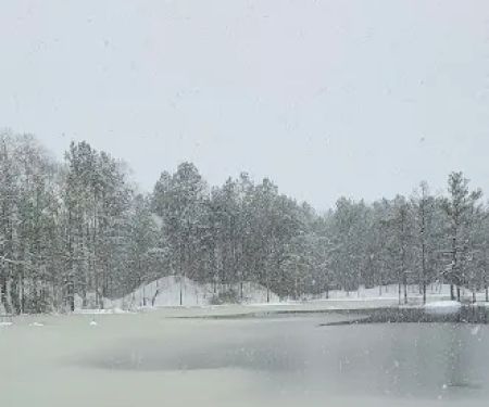 Lots for less , Huge rv lots! Texarkana