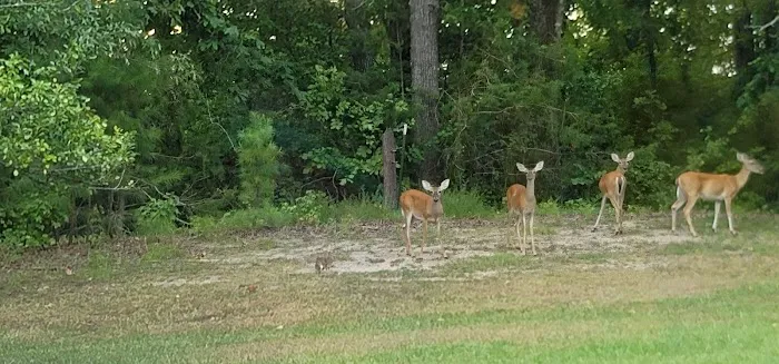 Lots for less , Huge rv lots! Texarkana Picture 7