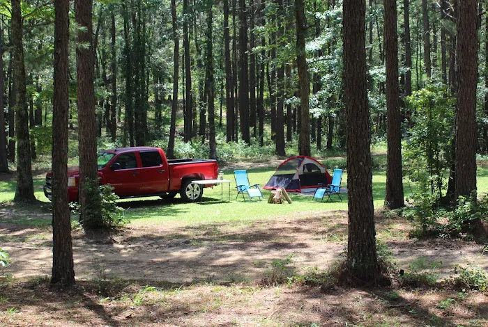 Totality 3:51 Eclipse 2024 Camping Picture 8