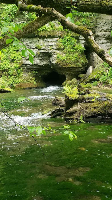 Maple Springs Campground Picture 4