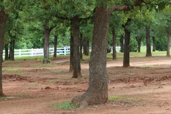 Pine country living mobile home park Picture 8