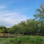 R Campground