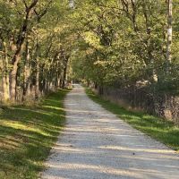 West Idlewild Campground ico
