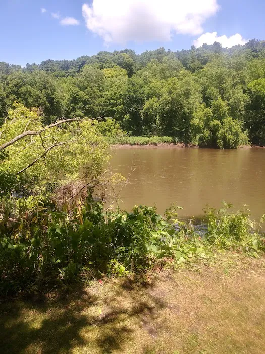 West Idlewild Campground Picture 7