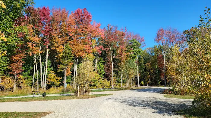 Brown County Reforestation Camp Campground Picture 10