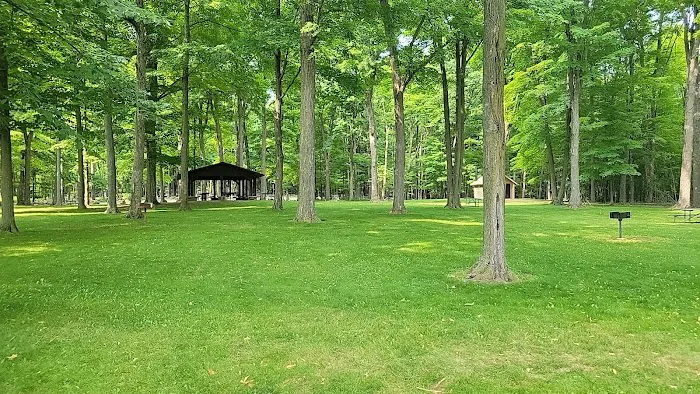 Big Eau Pleine Group Campsite Picture 4