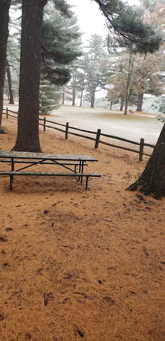 Marathon Park Campground Picture 7