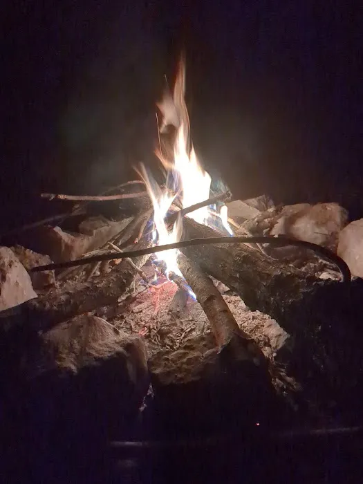 Wildlife Management Area Primitive Camping Picture 1