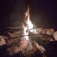 Wildlife Management Area Primitive Camping ico