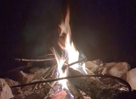 Wildlife Management Area Primitive Camping