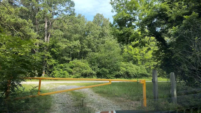 Wildlife Management Area Primitive Camping Picture 2